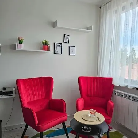 Boutique B37 Διαμέρισμα Μπόροβετς