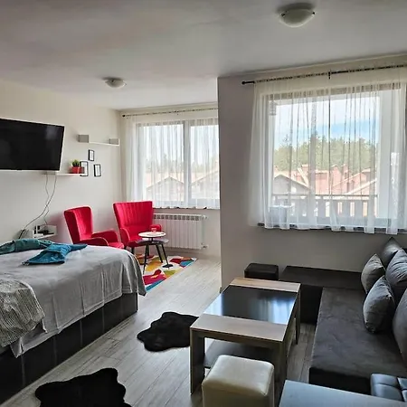 Boutique B37 Διαμέρισμα Μπόροβετς