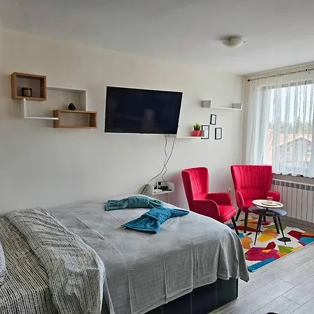 Boutique B37 Μπόροβετς